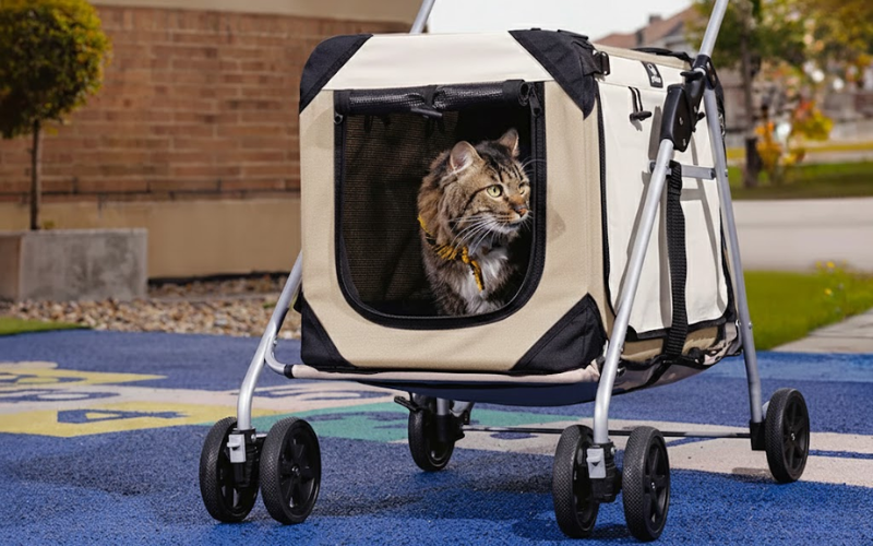Common Mistakes to Avoid When Buying a Pet Stroller
