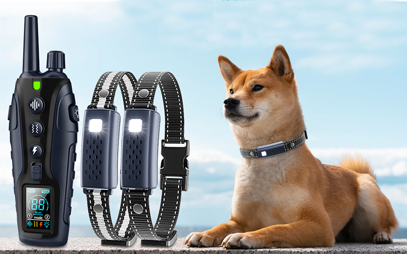 Nikketta Dog Shock Collar