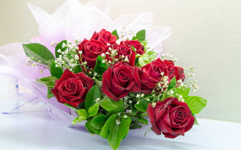 Roses Timeless Symbols of Love and Elegance