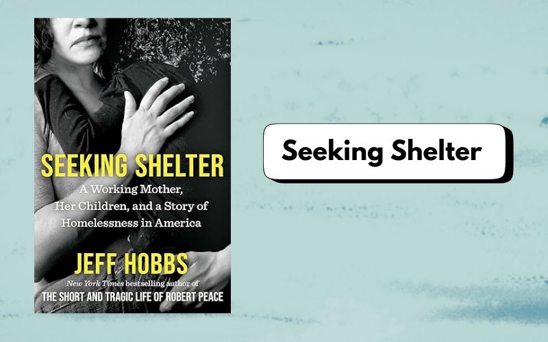 Seeking Shelter