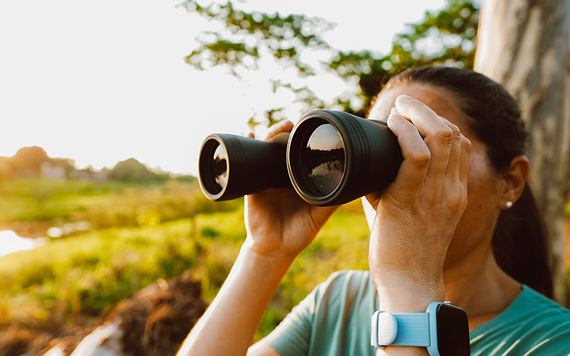 Top Travel Binoculars for Exploring Landscapes and Wildlife