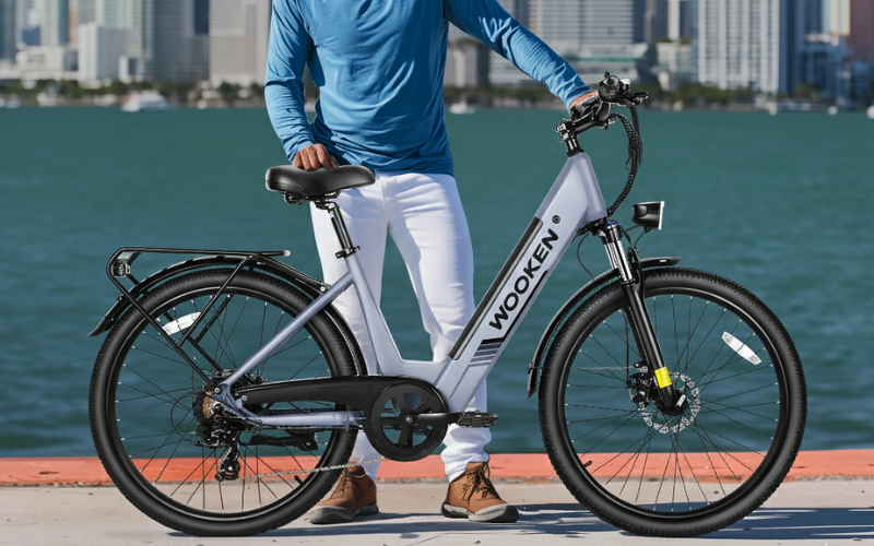 WOOKEN Electric Bike