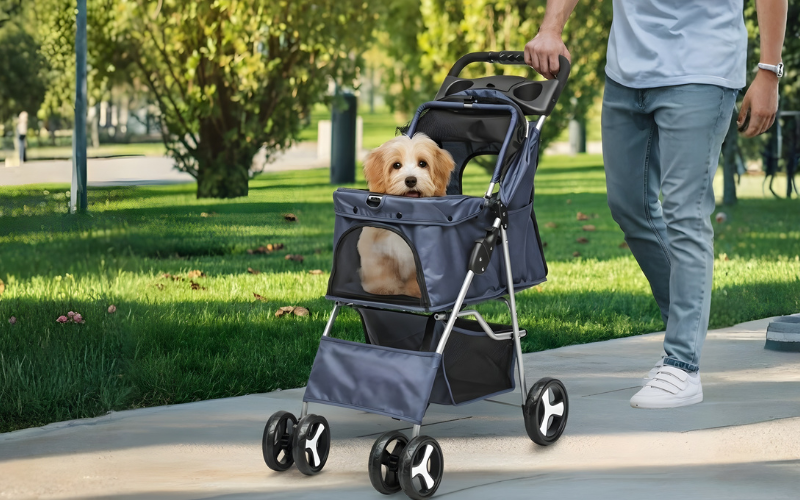 What to Look for in a Pet Stroller